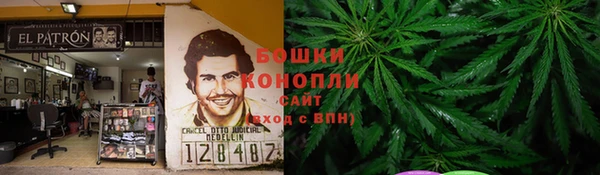 шишки Приозерск