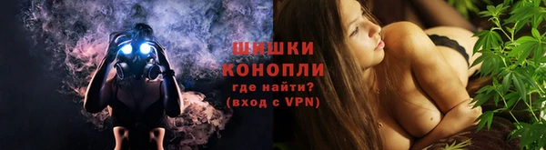 шишки Приозерск