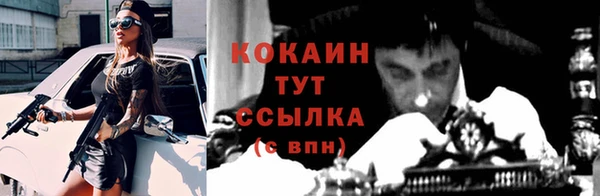 шишки Приозерск