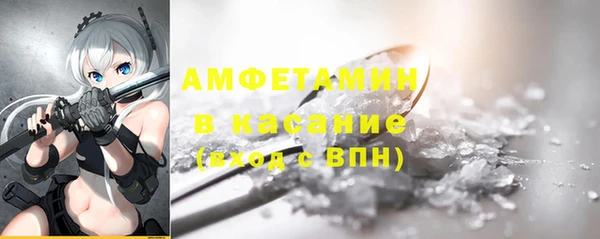шишки Приозерск
