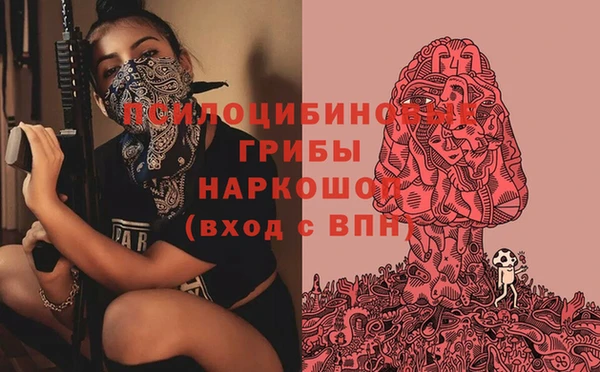 каннабис Верея