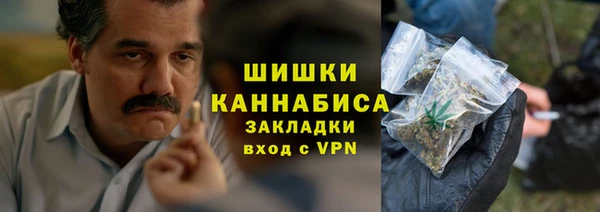 шишки Приозерск