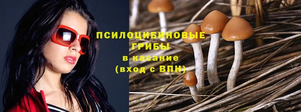 шишки Приозерск