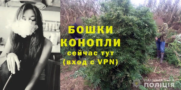 шишки Приозерск