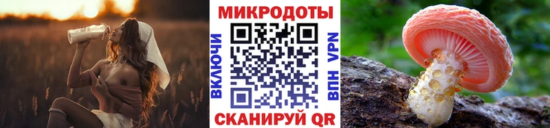 Галлюциногенные грибы Cubensis Саки