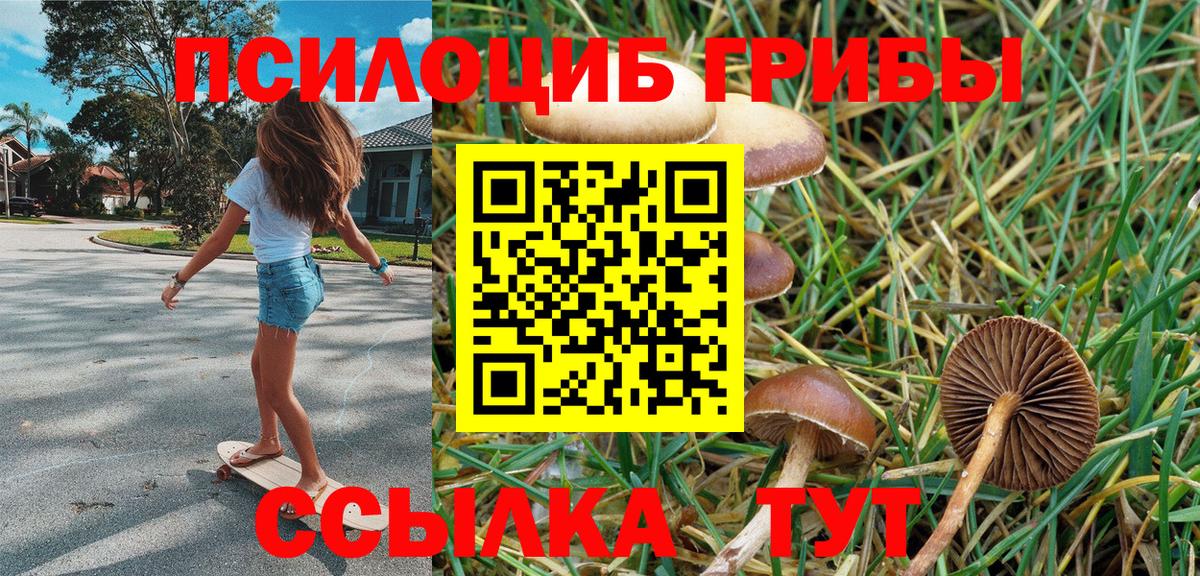 Саки  Псилоцибиновые грибы Psilocybe  Вход с VPN 