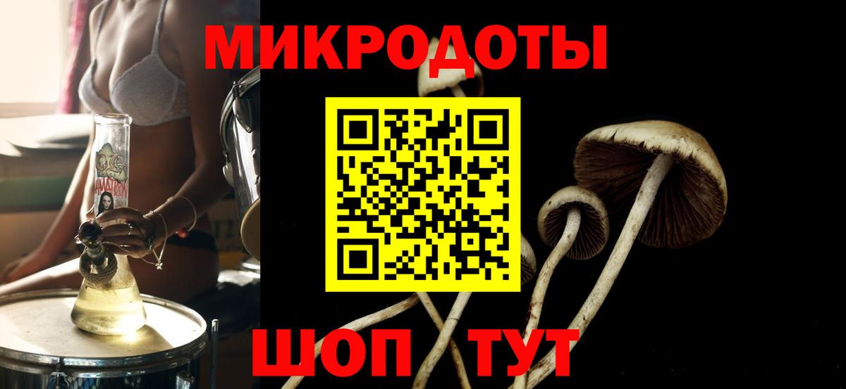 Галлюциногенные грибы GOLDEN TEACHER Саки
