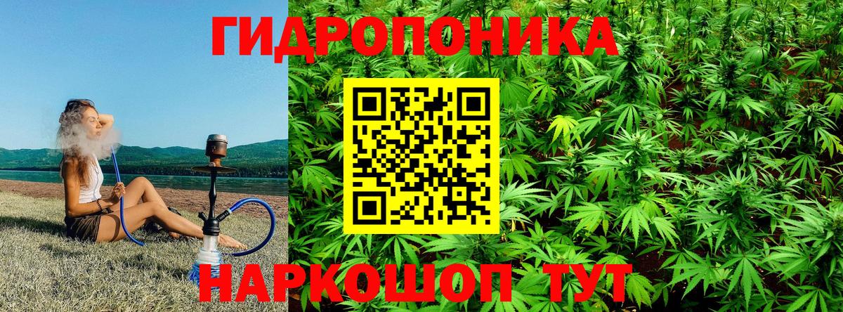 МАРИХУАНА индика Саки
